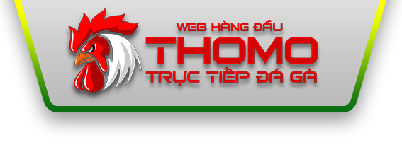 logolandingthomo 13/06/2026